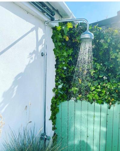 a garden with a water hose hanging on a wall at St Ives Balcony Flat in St Ives