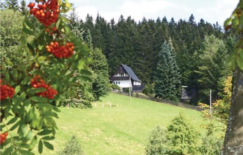 a house in the middle of a green field with trees at Holiday Home Am Einsberg Q in Tellerhäuser