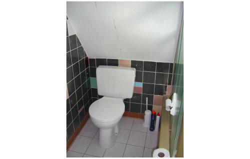 a bathroom with a white toilet in a tiled room at Holiday Home Am Einsberg Q in Tellerhäuser