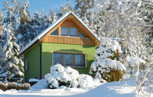 a green house in the snow with trees at Holiday home Muldentalsiedlung D in Bockau