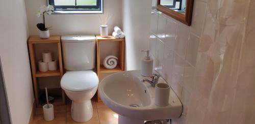 a bathroom with a toilet and a sink at Paku Escape - Tairua Bach in Tairua