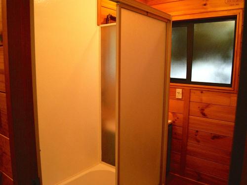 um chuveiro com uma porta de vidro na casa de banho em Puka Lodge Front dwelling - Pukawa Bay Home em Kuratau
