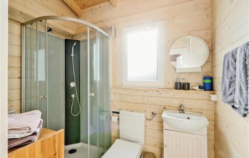 a bathroom with a shower and a toilet and a sink at Seelwe in Süssau