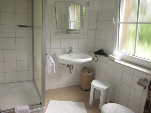 ein Bad mit einem Waschbecken, einem WC und einer Dusche in der Unterkunft Schultenhof in Balve