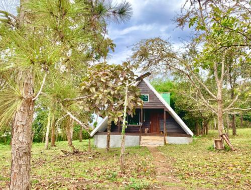 a small house in the middle of some trees at Nature Lodge in Sen Monorom