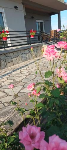 a bunch of pink flowers in front of a house at KALLIOPI'S HOUSE in Zilotí