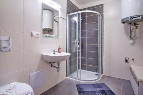a bathroom with a shower and a sink at Rezidence Podkova in Frymburk