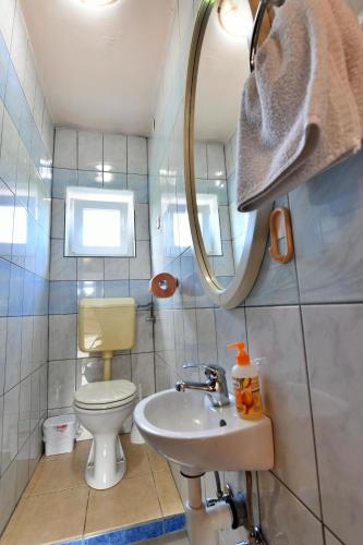 a small bathroom with a toilet and a sink at Apartment Marija Zupan in Rakovica