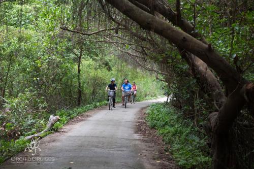 a group of people riding bikes down a dirt road at Mon Cheri Cruises in Ha Long