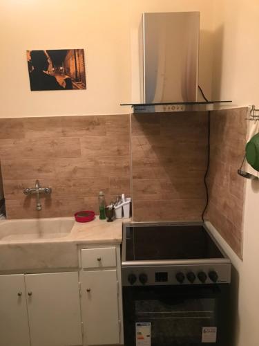 a kitchen with a sink and a stove at Archelaou Street Living in Athens