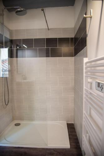 une douche avec une porte vitrée dans une salle de bain dans l'établissement LE PETIT AVIGNONNAIS - TOGETHER - INTRAMUROS - CENTER, à Avignon