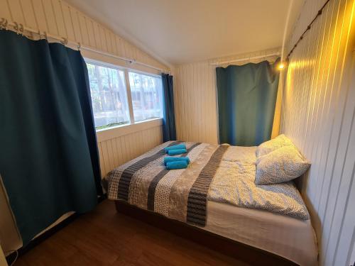 ein Schlafzimmer mit einem Bett mit blauen Kissen und einem Fenster in der Unterkunft Siedlisko Bartek in Sulęczyno
