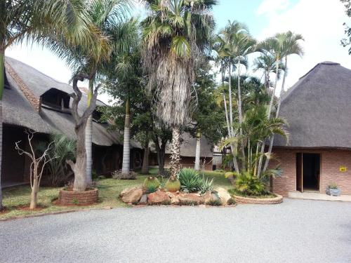 a house with palm trees in front of a driveway at Siesta Guest House in Musina