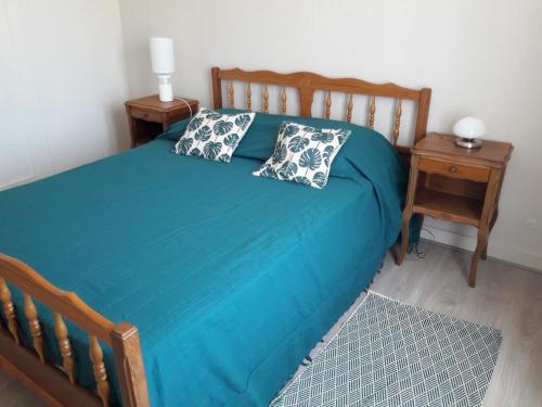 ein Schlafzimmer mit einem blauen Bett mit zwei Kissen darauf in der Unterkunft Logis de LANGE apt les Ecureuils in Saint-Hilaire-la-Palud