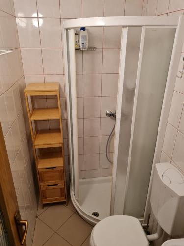 ein Bad mit einer Dusche und einem WC in der Unterkunft Studio apartment Ivan in Čunski