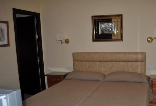 a bedroom with a bed and a picture on the wall at Hotel Roma in San Fernando