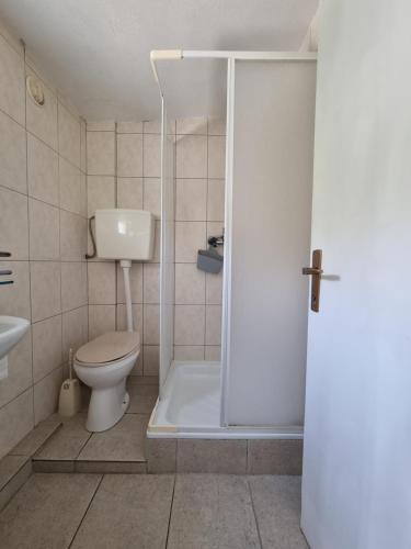 a bathroom with a toilet and a shower stall at Apartments Šešo in Pag