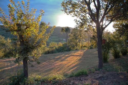 a field with two trees on a hill at La Casa Trasparente - locazioni brevi in Arcugnano