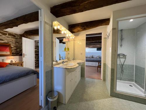 a bathroom with a bed and a shower and a sink at Le Mas Bertrand in Villefranche-de-Panat
