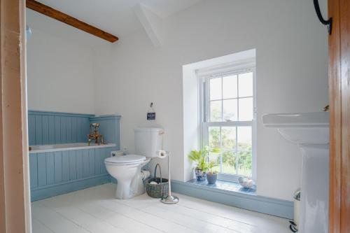 a bathroom with a toilet and a window at The Green Door Vegan B&B in Llanon