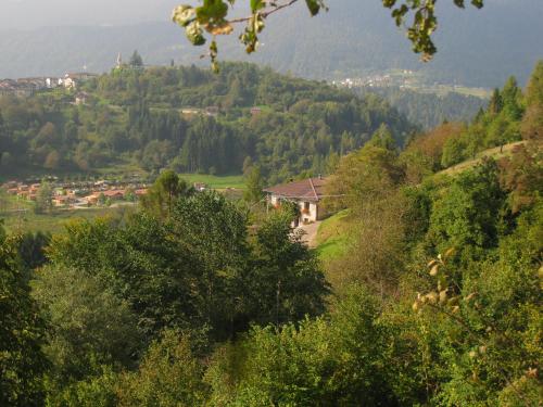 une maison au sommet d'une colline avec des arbres dans l'établissement Holiday home Maso Mersi, à Castello Tesino