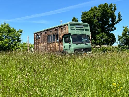 a green bus sitting in a field of tall grass at The Hoot Romantic Glamping in Southwick