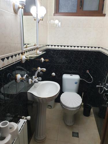 een badkamer met een toilet, een wastafel en een spiegel bij КЪЩА ЗА ГОСТИ ФЕДОР in Ribarica