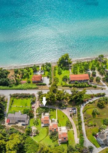 VV Luxury Experience