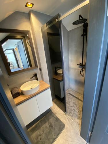 a bathroom with a sink and a mirror at Liepų apartamentai in Klaipėda