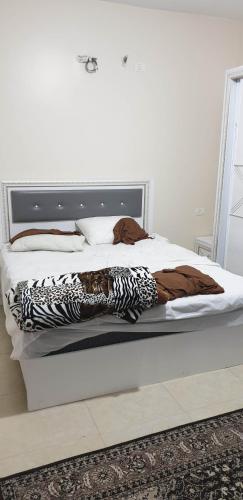 Кровать или кровати в номере Big Appatrment in Hebron Palestine Almahawer