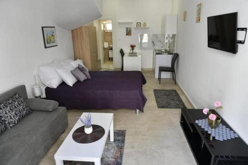 TV a/nebo společenská místnost v ubytování Studio Apartments Kamicak