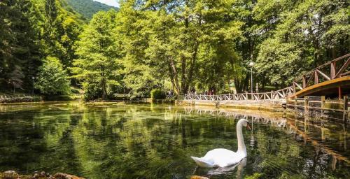 Gallery image of Villa Vrelo Bosne in Sarajevo
