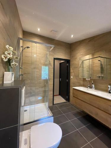 ein Badezimmer mit Toilette, Dusche und Waschbecken in der Unterkunft Luitekamp Ameland in Ballum