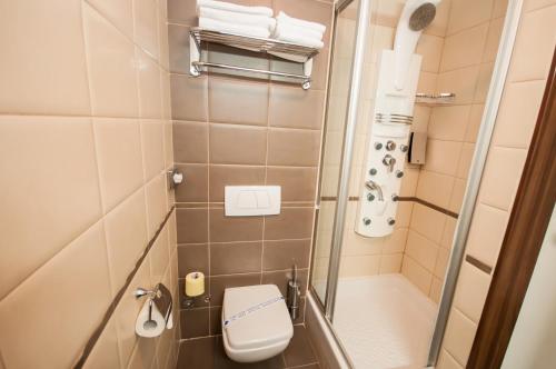 a small bathroom with a toilet and a shower at Hotel Maxim in Božava