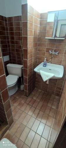 a bathroom with a toilet and a white sink at Penzion Diana in Železná Ruda