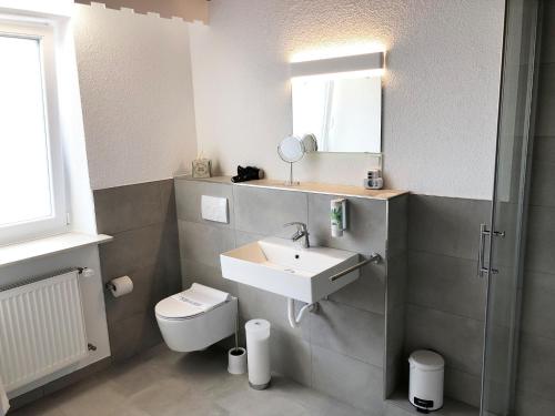 een badkamer met een wastafel, een toilet en een spiegel bij Birkenhof Family Lodge - a68755 in Rieschweiler-Mühlbach