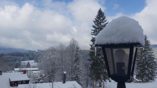 a street light with snow on top of it at Penzion Diana in Železná Ruda