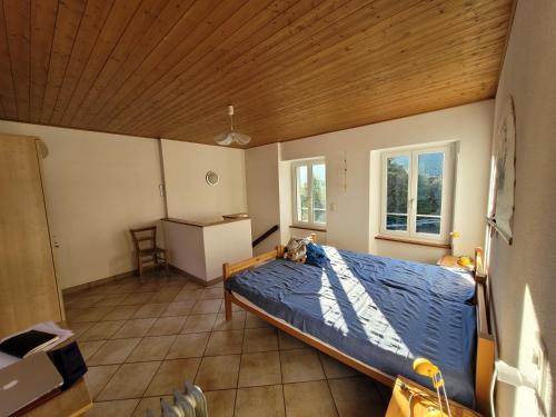 una camera con letto e soffitto in legno di Casa Hürlimann a Breno