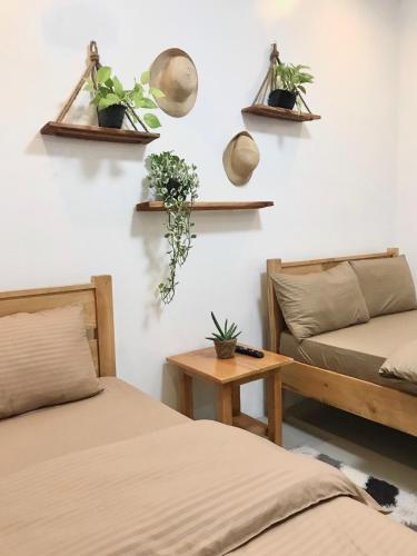 um quarto com duas camas e plantas na parede em Nord House Laoag em Laoag