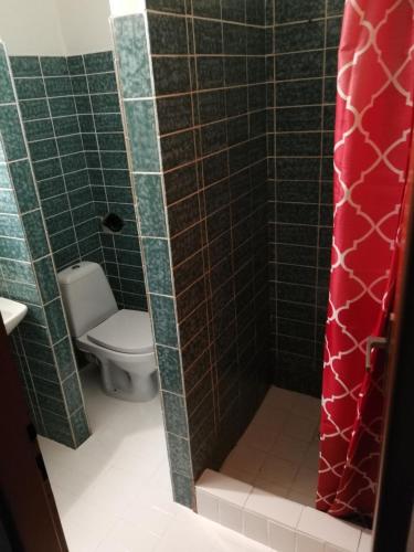 a bathroom with a toilet and a shower at Penzion Diana in Železná Ruda
