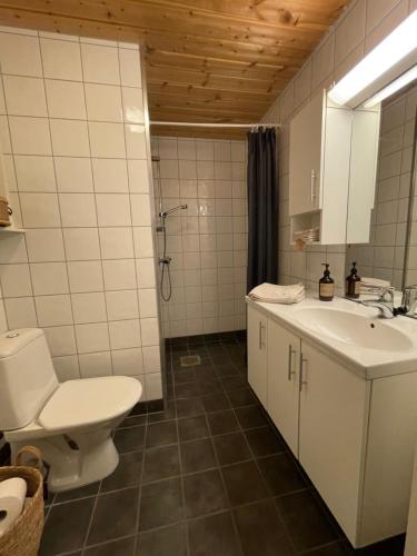 a bathroom with a toilet and a sink at Hytte i nydelige Jotunhemen - rett ved Besseggen in Randsverk