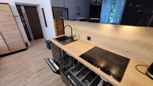 a kitchen with a sink and a counter top at GOOD DAY APARTMENT centrum Katowice in Katowice