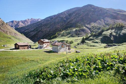 a farm in a field with mountains in the background at Appartamento Stefan Trepalle in Livigno