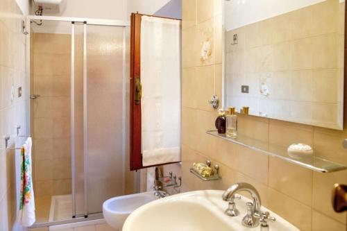a bathroom with a sink and a shower at Amazing Tuscany Window in Montemassi