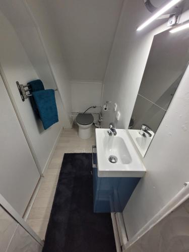 a small bathroom with a sink and a toilet at Petit nid à Corbeil-Essonnes in Corbeil-Essonnes