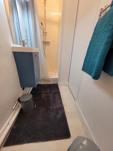 a bathroom with a sink and a shower and a rug at Petit nid à Corbeil-Essonnes in Corbeil-Essonnes