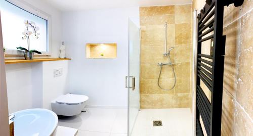 ein Badezimmer mit Dusche und Toilette in der Unterkunft L'atypique in Hyères