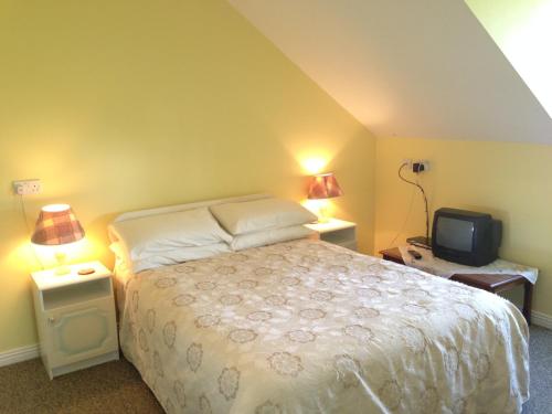 a bedroom with a bed and a small tv at An Gleann Accommodation in Miltown Malbay