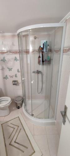 a bathroom with a shower and a toilet at Ixian House Apartment in Ixia