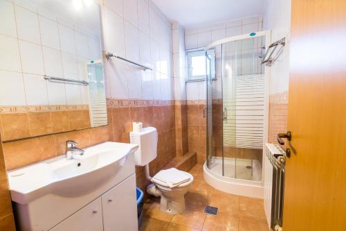 a bathroom with a sink and a toilet and a shower at Hotel Atlantis in Tulcea